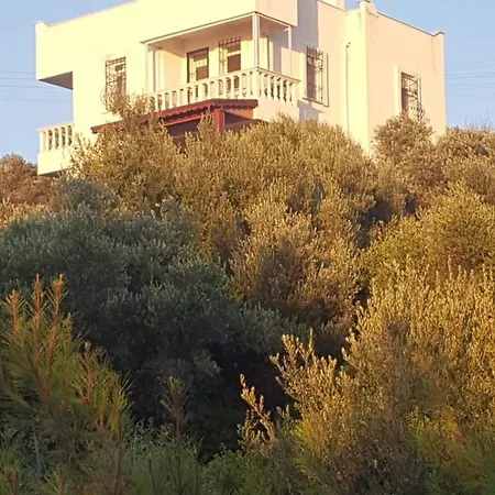 Prestige Bord De * Alagunciftligi